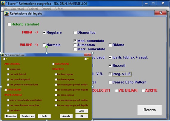 Schermata con opzioni per la descrizione di una lesione